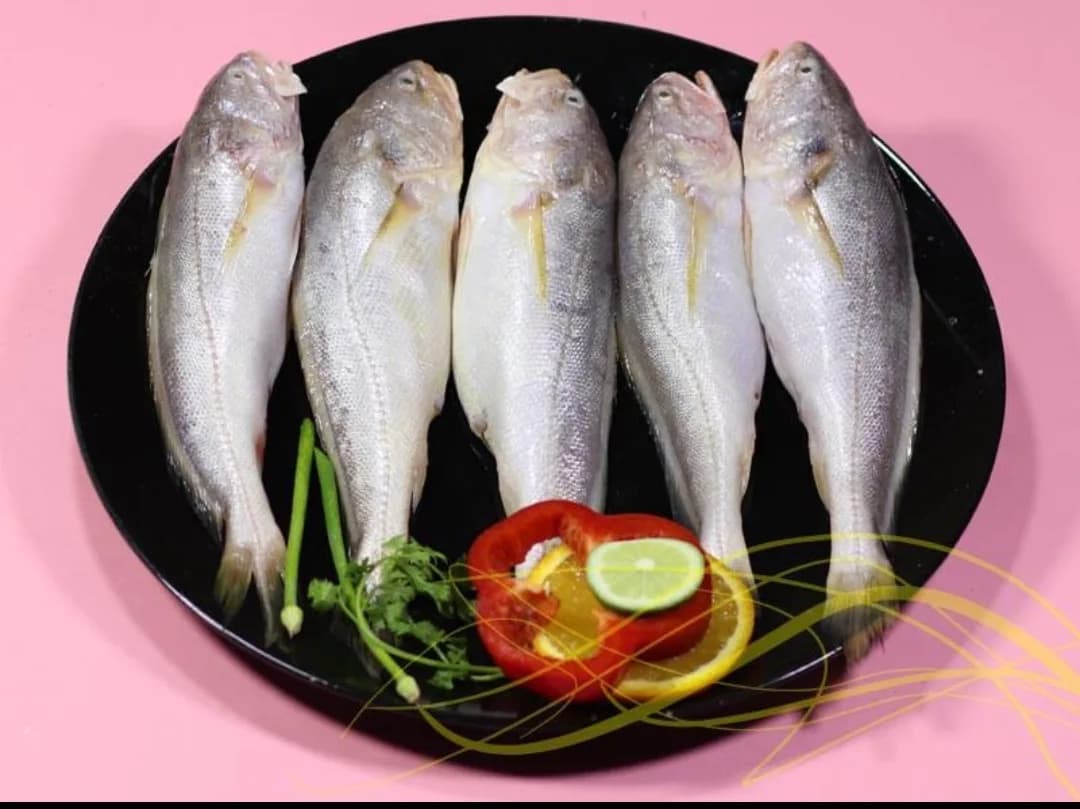 Bhola Bhetki Big/ভোলা ভেটকি বড়ো