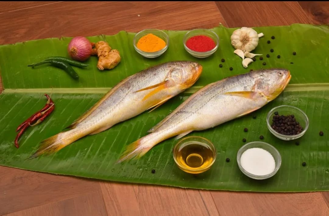 Bhola Bhetki Small/ভোলা ভেটকি ছোটো