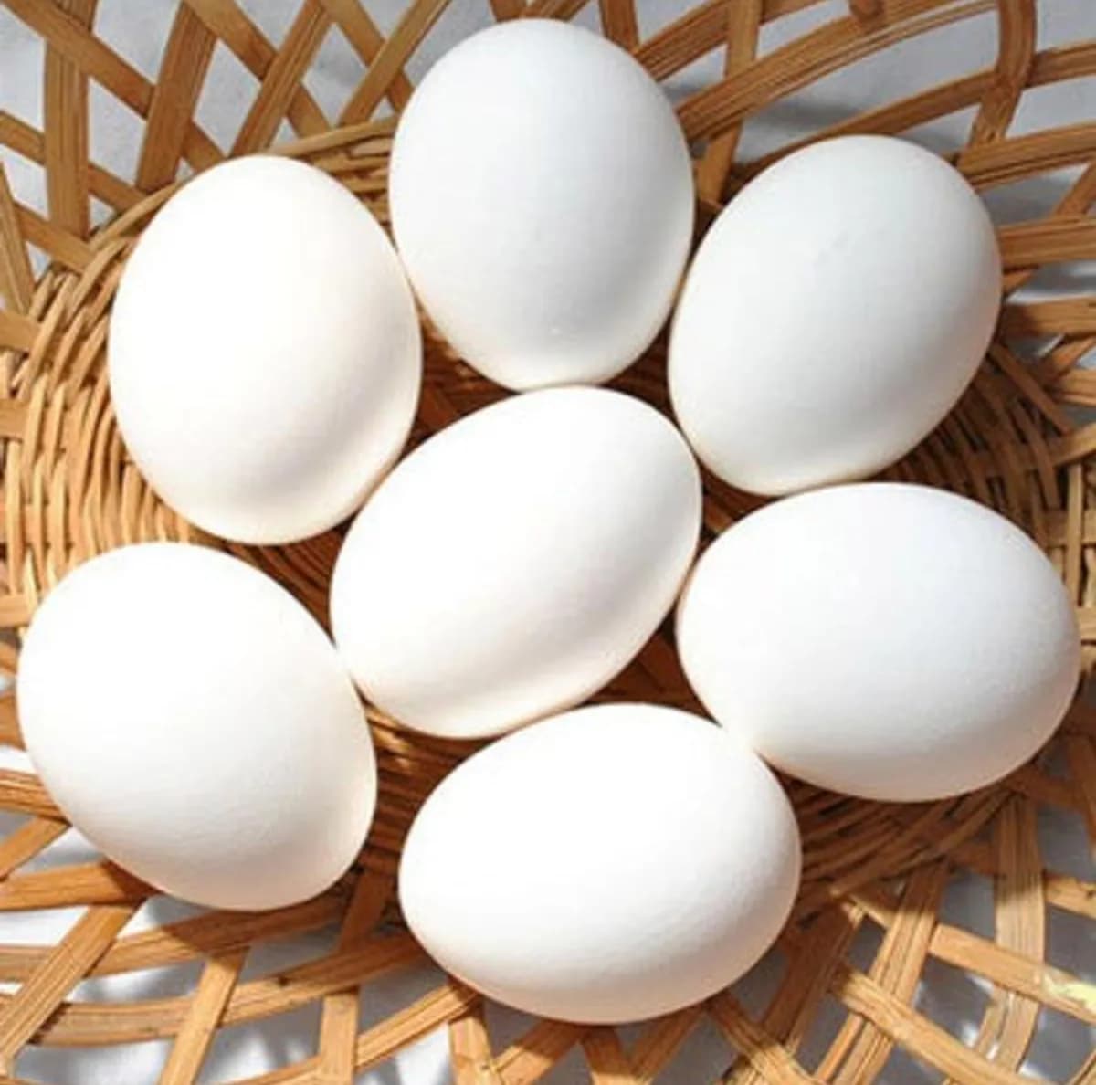 Poultry Eggs/পোল্ট্রি ডিম