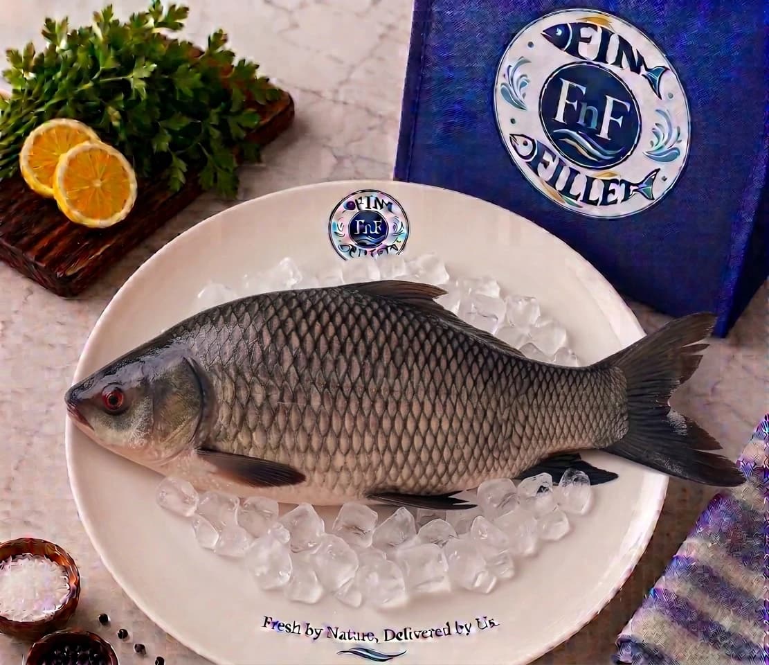 Kalboush fish - gada,peti,head ,tail (whole)