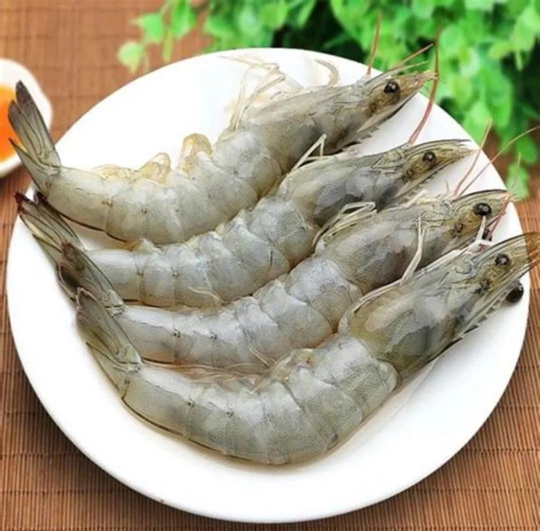 White Prawns/Chapra chingri(M)/চাপড়া চিংড়ি