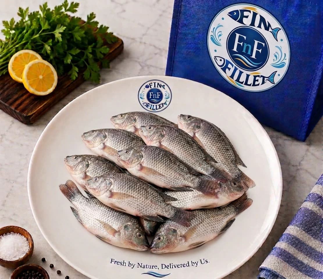 Tilapia/Telepia/তিলাপিয়া/তেলেপিয়া(S)