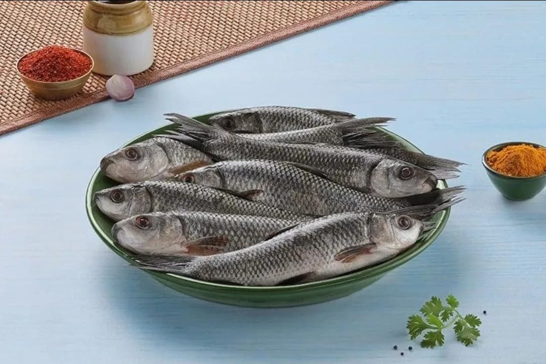 Charapona small/চারাপোনা ছোটো
